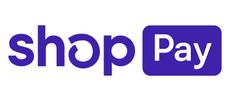 Payments Partners