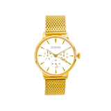 Vela Gold 36MM